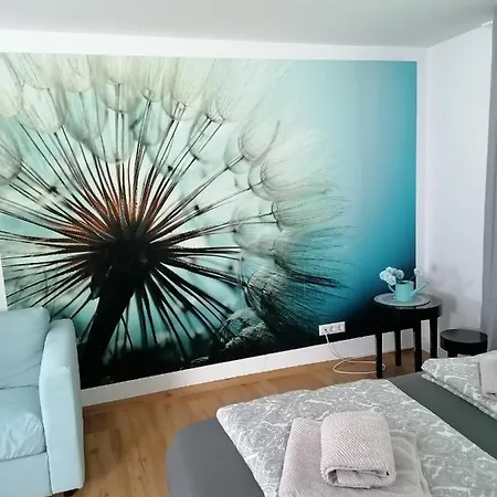 Charlotte Stadtoase - Im Herzen Friedrichshafens Фридрихсхафен