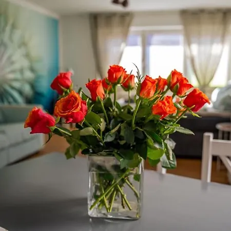 Charlotte Stadtoase - Im Herzen Friedrichshafens